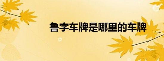 鲁字车牌是哪里的车牌