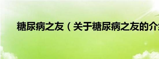 糖尿病之友（关于糖尿病之友的介绍）
