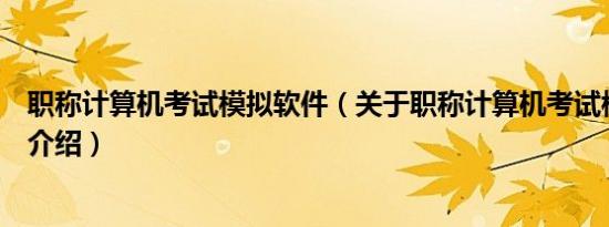 职称计算机考试模拟软件（关于职称计算机考试模拟软件的介绍）