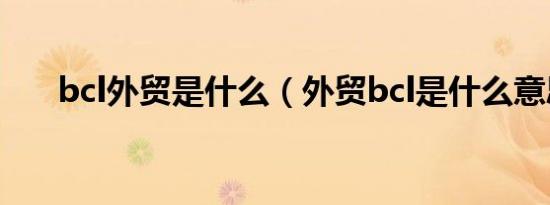 bcl外贸是什么（外贸bcl是什么意思）
