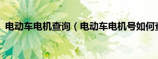 电动车电机查询（电动车电机号如何查询?）