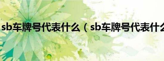 sb车牌号代表什么（sb车牌号代表什么意思）