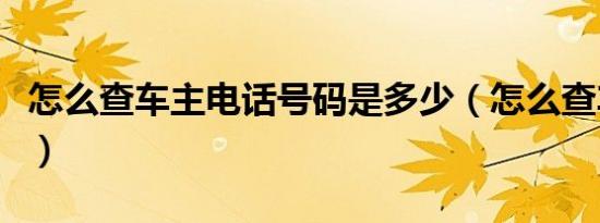 怎么查车主电话号码是多少（怎么查车主电话）