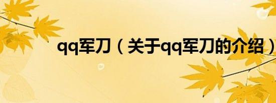 qq军刀（关于qq军刀的介绍）
