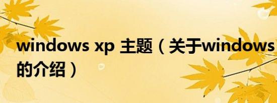 windows xp 主题（关于windows xp 主题的介绍）