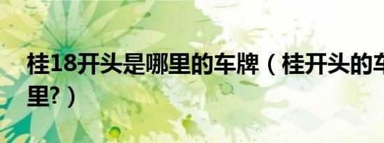 桂18开头是哪里的车牌（桂开头的车牌是哪里?）