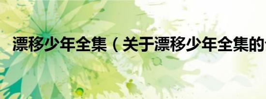 漂移少年全集（关于漂移少年全集的介绍）