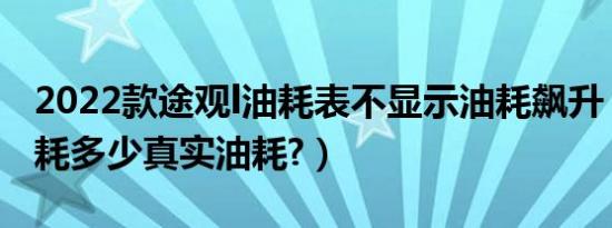 2022款途观l油耗表不显示油耗飙升（途观油耗多少真实油耗?）