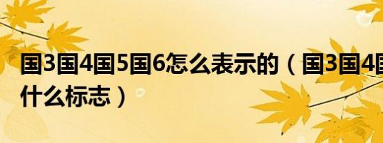 国3国4国5国6怎么表示的（国3国4国5国6是什么标志）