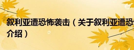 叙利亚遭恐怖袭击（关于叙利亚遭恐怖袭击的介绍）