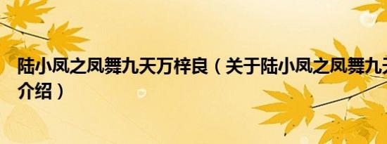 陆小凤之凤舞九天万梓良（关于陆小凤之凤舞九天万梓良的介绍）