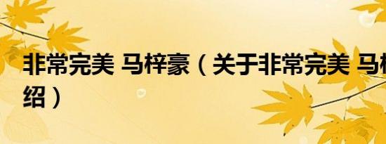 非常完美 马梓豪（关于非常完美 马梓豪的介绍）