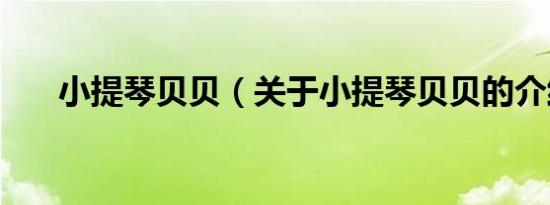小提琴贝贝（关于小提琴贝贝的介绍）