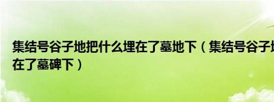 集结号谷子地把什么埋在了墓地下（集结号谷子地将什么留在了墓碑下）
