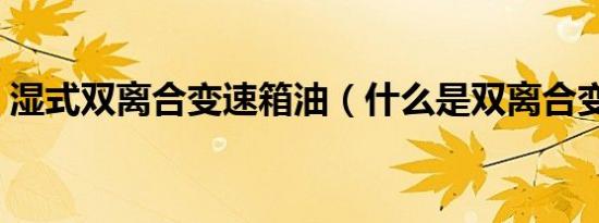 湿式双离合变速箱油（什么是双离合变速箱）