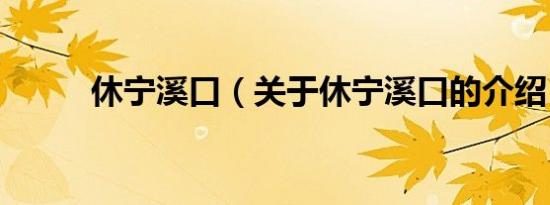 休宁溪口（关于休宁溪口的介绍）