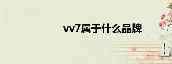 vv7属于什么品牌