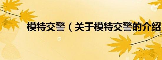模特交警（关于模特交警的介绍）