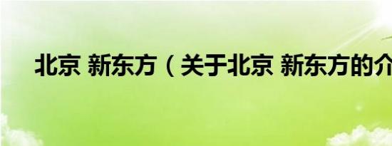 北京 新东方（关于北京 新东方的介绍）