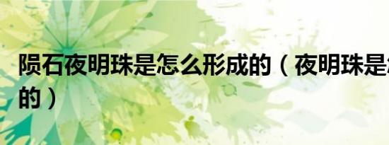 陨石夜明珠是怎么形成的（夜明珠是怎么形成的）