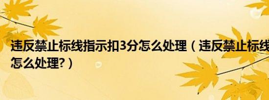 违反禁止标线指示扣3分怎么处理（违反禁止标线指示扣3分怎么处理?）