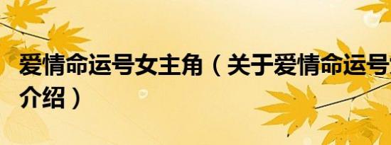 爱情命运号女主角（关于爱情命运号女主角的介绍）