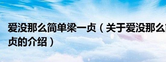 爱没那么简单梁一贞（关于爱没那么简单梁一贞的介绍）