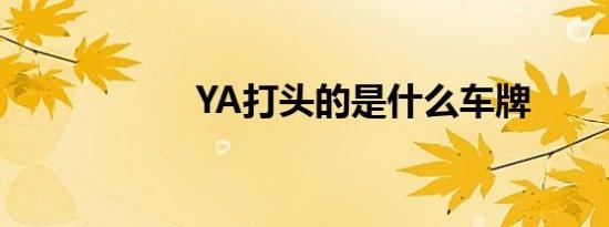 YA打头的是什么车牌