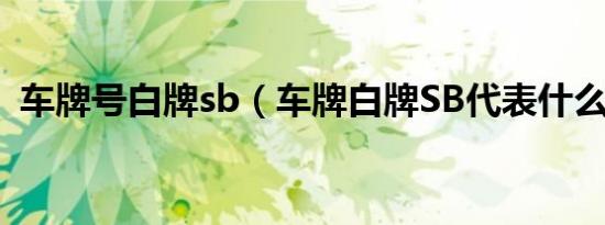 车牌号白牌sb（车牌白牌SB代表什么意思）
