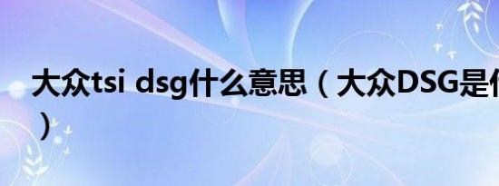 大众tsi dsg什么意思（大众DSG是什么意思）