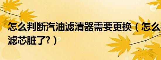 怎么判断汽油滤清器需要更换（怎么判断汽油滤芯脏了?）