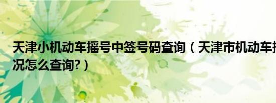 天津小机动车摇号中签号码查询（天津市机动车摇号中签情况怎么查询?）