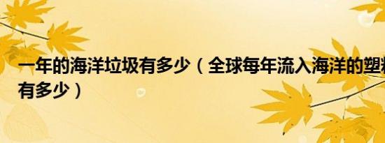 一年的海洋垃圾有多少（全球每年流入海洋的塑料垃圾大约有多少）