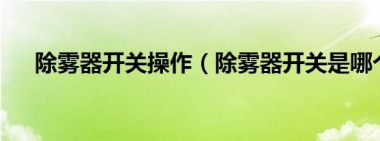除雾器开关操作（除雾器开关是哪个?）