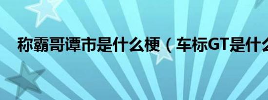 称霸哥谭市是什么梗（车标GT是什么车）