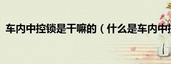 车内中控锁是干嘛的（什么是车内中控锁?）