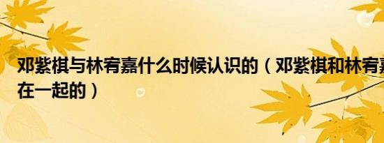 邓紫棋与林宥嘉什么时候认识的（邓紫棋和林宥嘉什么时候在一起的）