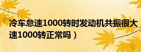 冷车怠速1000转时发动机共振很大（冷车怠速1000转正常吗）