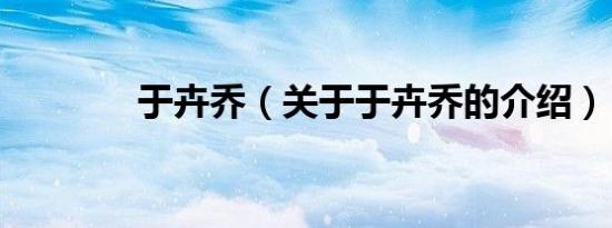 于卉乔（关于于卉乔的介绍）