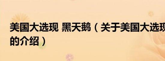 美国大选现 黑天鹅（关于美国大选现 黑天鹅的介绍）