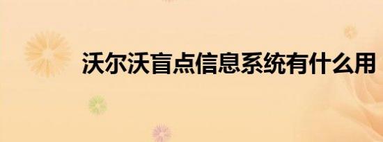 沃尔沃盲点信息系统有什么用