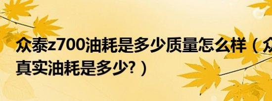 众泰z700油耗是多少质量怎么样（众泰z700真实油耗是多少?）