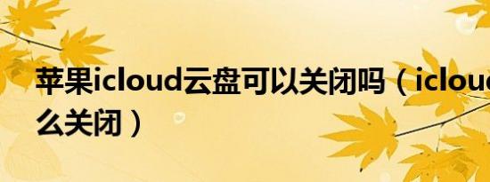 苹果icloud云盘可以关闭吗（icloud云盘怎么关闭）