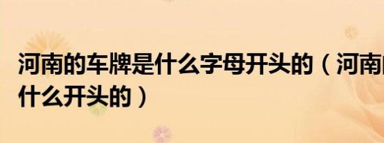 河南的车牌是什么字母开头的（河南的车牌是什么开头的）
