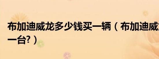 布加迪威龙多少钱买一辆（布加迪威龙多少钱一台?）