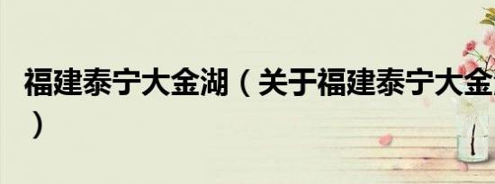 福建泰宁大金湖（关于福建泰宁大金湖的介绍）