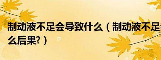 制动液不足会导致什么（制动液不足会导致什么后果?）