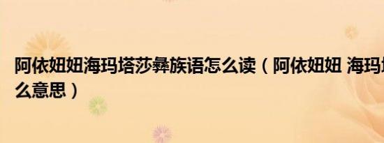 阿依妞妞海玛塔莎彝族语怎么读（阿依妞妞 海玛塔莎落是什么意思）