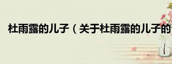 杜雨露的儿子（关于杜雨露的儿子的介绍）