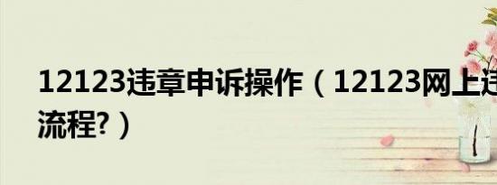 12123违章申诉操作（12123网上违章申诉流程?）